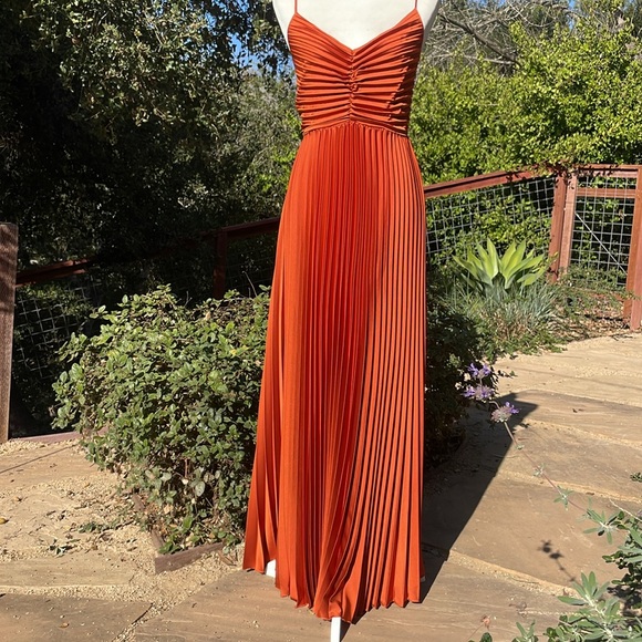 Petal and Pup Naira Pleated Maxi Dress - Picture 3 of 14